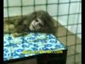 kisah anak yang derhaka kisah anak yang derhaka