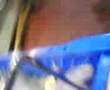 BML2404089399