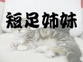 Thumbnail #1