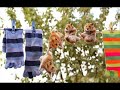 Funny Pictures
