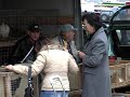 Hafenrundfahrt mit Olivia Jones Hamburg 2008