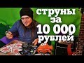 Струны за 10 000 рублей