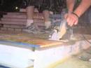Your Green Life Segment - Factory Built Green Your Green Life Segment - Factory Built Green