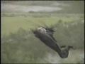 Boeing / Sikorsky RAH 66 Comanche