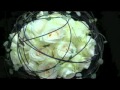 Amy Drysdale (Dragonfly Floral Design)