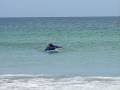 0002,surf,Video