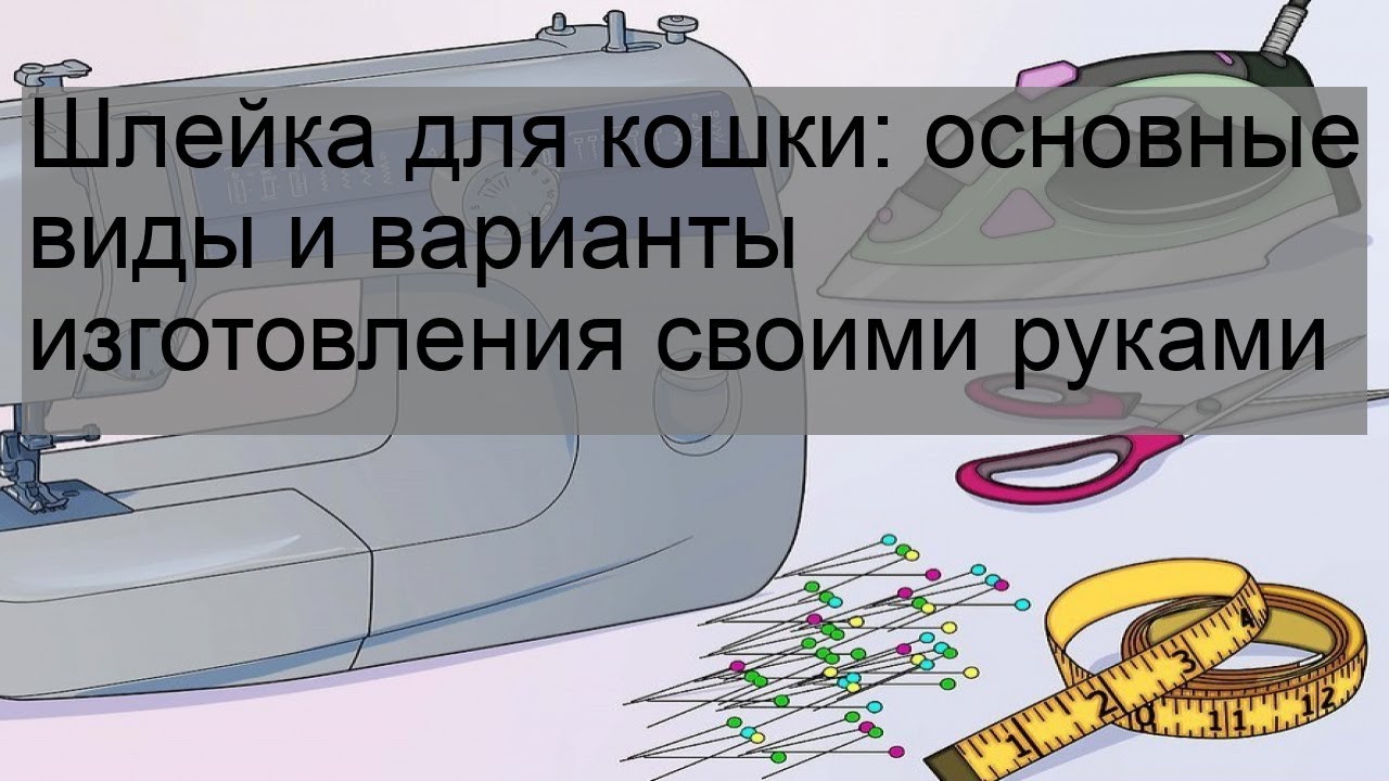Шлейка для кошки: основные виды и варианты изготовления своими руками