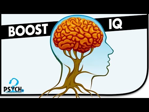 The SECRET Ways to Increase Your Intelligence