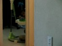 Neeti peekaboo on the jumperoo