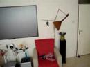 Walkera 4#3 Stiff Tail Boom Walkera 4#3 Stiff Tail Boom