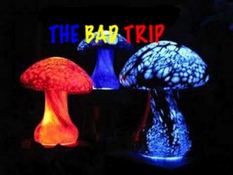 how to avoid a bad trip on shrooms