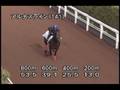 videos de [調教] 081008 アルナスライン 「京都大賞典」前追い切り