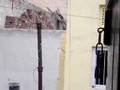 Chasse a la souris a Delhi
