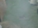Steve Erwin: Blowin up stuffed anmials 1 Steve Erwin: Blowin up stuffed anmials 1