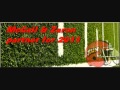 Zaron and McCall team for 2011