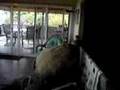 Tour of Alohi Place