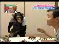 Mono vs. Serpiente, una lucha por la comida