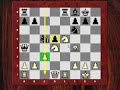 presents Karpov vs. Bareev 1994