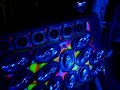 F250 do Jaynne \"explod\" By Juliano F250 do Jaynne \"explod\" By Juliano