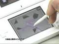 ザ・フロッグマンショー ds!