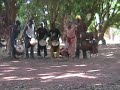 maraka