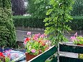Pluie battante lors d'un orage