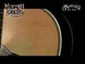 Martin HD-28 V