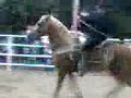 exivision de la feria de torreon