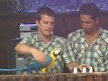 Parrots in training