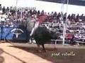 Jaripeos.com.mx en las Fiestas de Periban de Ramos, Mich