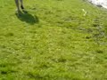 billing april 2007 dad in very deep water in lightweight!!