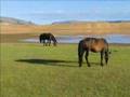 Mongolia 2004