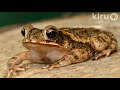 Central Texas Gardener: 11/14/09