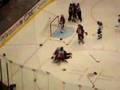 Coyotes Vs Blues Hockey Fight