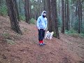 Husky Puppy Inca 1st Time Off Her Lead.