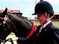 A day at the Show