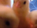 Death by chicks Death by chicks