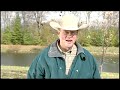 Cow Manure Energy