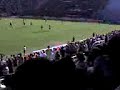 Tigre-Sanlore III