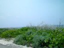 Bikin' arround Cozumel