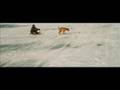 Inuit