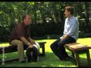 Puppy Training Video - Puppy Discipline (Episode 4) Puppy Training Video - Puppy Discipline (Episode 4)