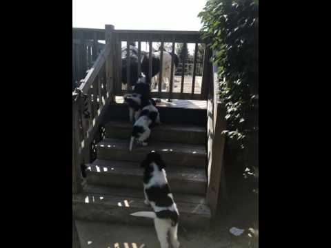 Hey Mom and Dad can you come out and play?