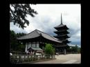 Eighth part of my summer vacation video. Nara, UNESCO World Heritage Site, the first capital of Japan is famous for the tame deer that have free roam of the city, and Tōdai-ji temple, which is home to the largest Buddha in Japan. We were lucky to be there during the O-bon festival (a Buddhist holiday to honor the dead). Music from My Neighbor Totoro and Laputa: Castle in the Sky by Joe Hisashi.