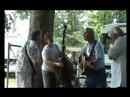 Music Under the Trees 902i