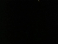 Synchronous Fireflies in Elkmont, Smoky Mountain National Park