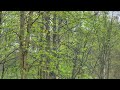 One year in two minutes