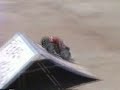RC Car Highlights