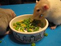 Betsey loves her Peas and corn