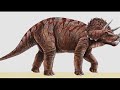 Video Dinosaurios